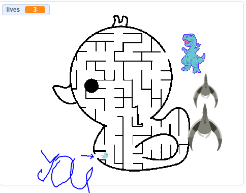 maze of wonders